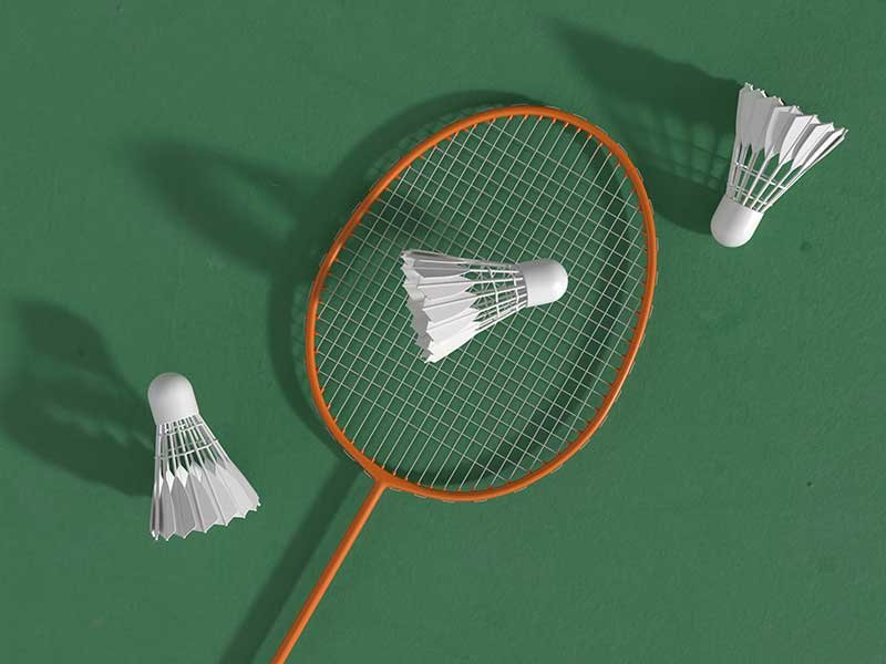 Badminton coaching and training session